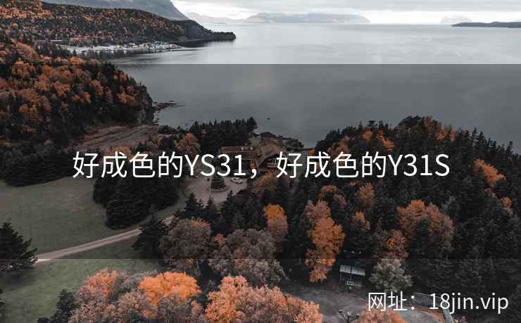好成色的YS31，好成色的Y31S