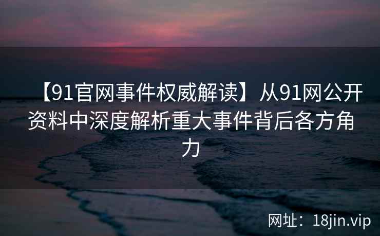 【91官网事件权威解读】从91网公开资料中深度解析重大事件背后各方角力