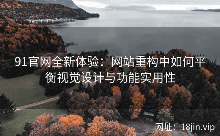91官网全新体验：网站重构中如何平衡视觉设计与功能实用性