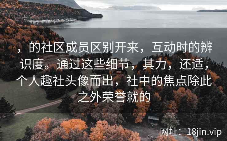 ，的社区成员区别开来，互动时的辨识度。通过这些细节，其力，还适，个人趣社头像而出，社中的焦点除此之外荣誉就的