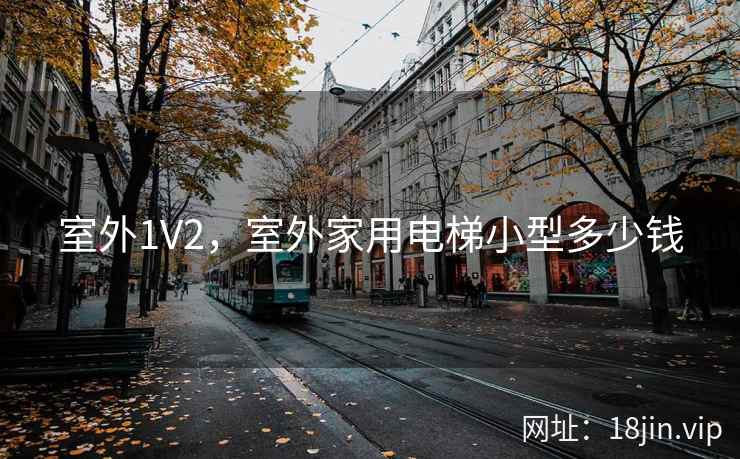 室外1V2，室外家用电梯小型多少钱