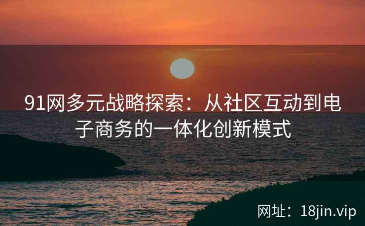 91网多元战略探索：从社区互动到电子商务的一体化创新模式